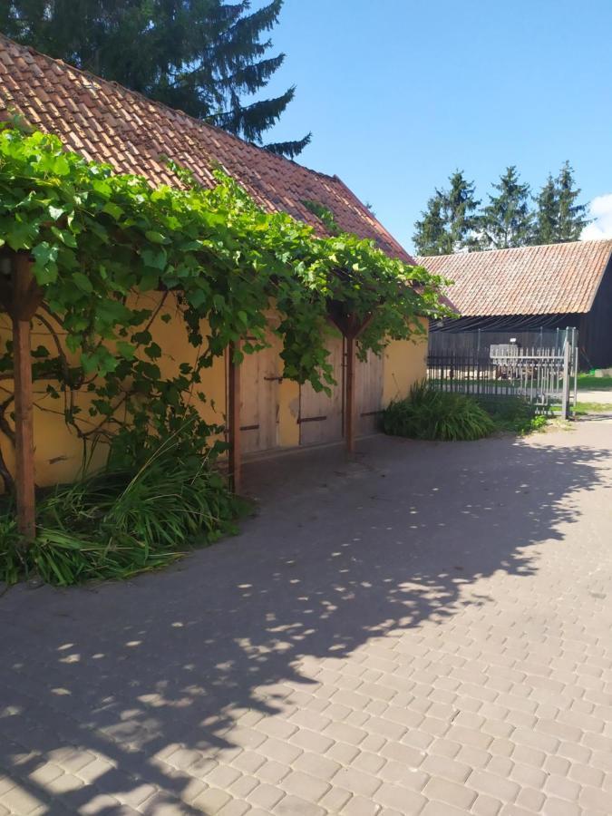 Domek Na Wzgorzu Blanki Lidzbark Warminski Exterior photo