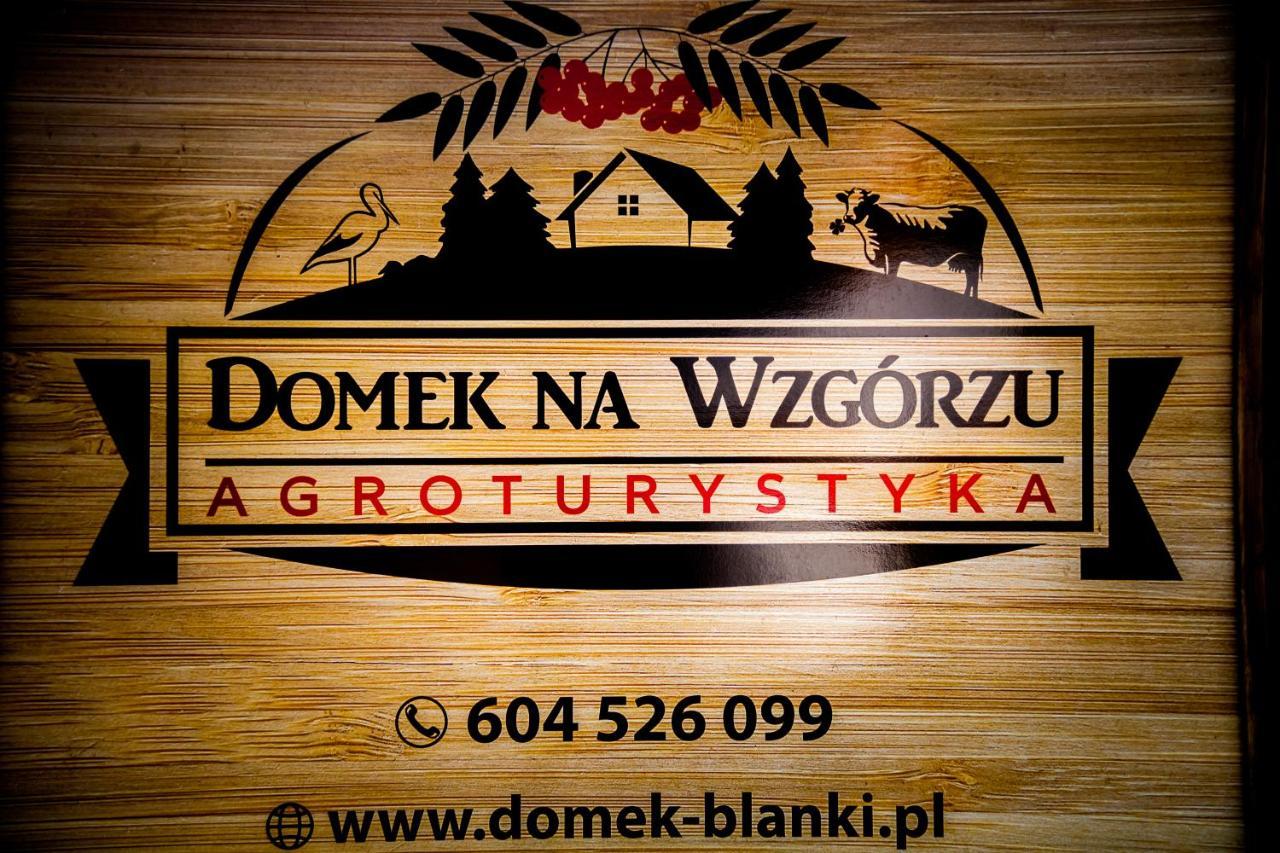 Domek Na Wzgorzu Blanki Lidzbark Warminski Exterior photo